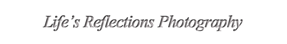 lifesreflections.net logo